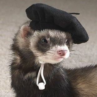 AlexanderBemol's profile picture. Developer | SSBU