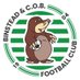 Binstead & COB FC (@BinsteadCOBFC) Twitter profile photo