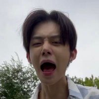 liz (@chenwenqis) 's Twitter Profile