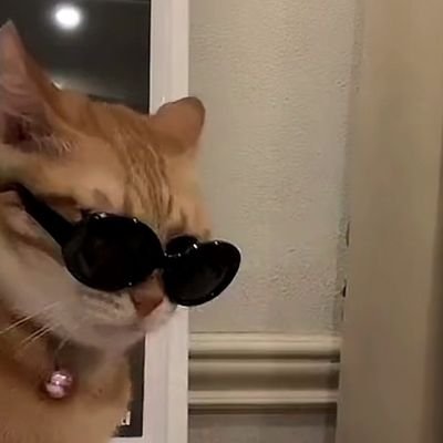 Zeyan307Ze's profile picture. ESTP天秤
“钟情男色，沉迷金钱”
智性恋
（我一个小女孩，不抽烟不喝酒，好色点怎么啦！）