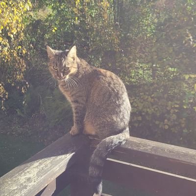 like nature, my family and friends and animals. Live together with my husband and my cat Mausi😽