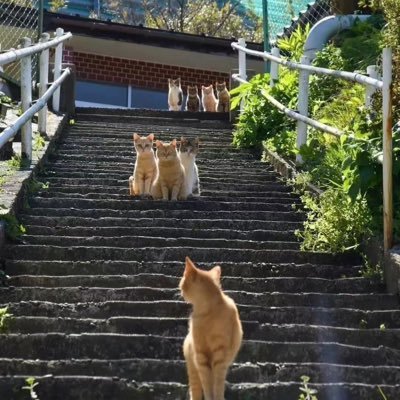 vhometa's profile picture. 