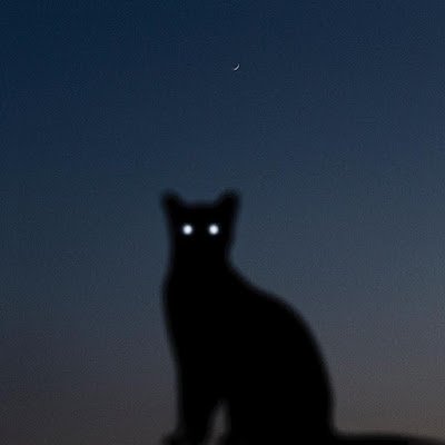 mrhadden01's profile picture. 
