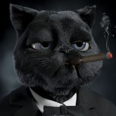 1307josee's profile picture. tested positive for Manchester united