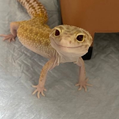 wataru2257's profile picture. 