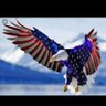 Bruin4Evah's profile picture. Feel strongly about my Country and my Boston Bruins!