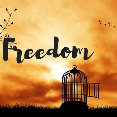 khanmohs1n's profile picture. Welcome🌹🕋(New World Order)                                        Long Live Ch Mohsin...🪬📱📡📺