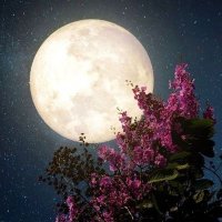 د/ســـــهام البــاري🌬️ (@biqhs9kz03447xv) 's Twitter Profile Photo د/ســـــهام البــاري🌬️ (@biqhs9kz03447xv) 's Twitter Profile Photo