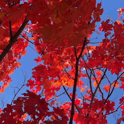 AliElsa58214938's profile picture. 