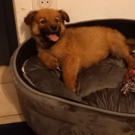 notatthepub's profile picture. Yorkshire lass in France. May contain whisky.