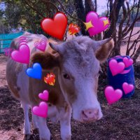 Simón :3 (@zimoncito_x01) 's Twitter Profile