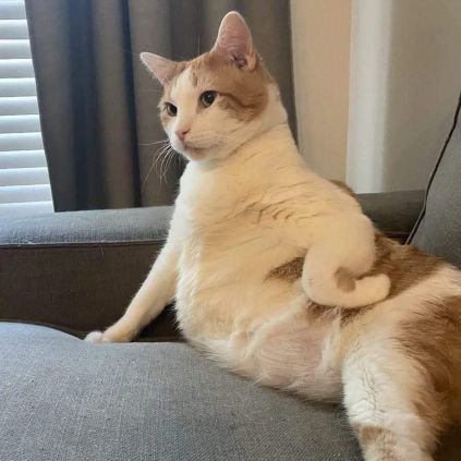 jikustikcoolem's profile picture. Corolla GL @ Levin Design