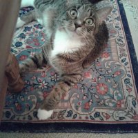 Bonneysl (@bonneysl1) 's Twitter Profile