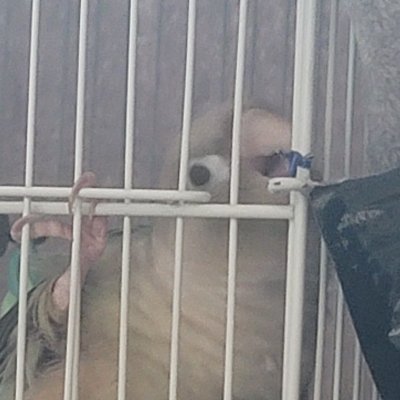 illu_wa's profile picture. 해킹