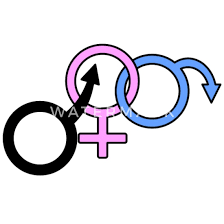 YaseenA40233469's profile picture. 