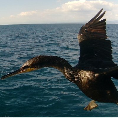 MiaFranca1's profile picture. 