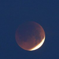 صلاح عبدلله (@lbdllh290442761) Twitter profile photo