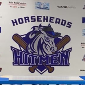 Family affordable baseball coming back to Horseheads Summer 2024