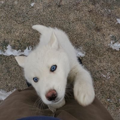 DarkjaydeX's profile picture. Love gaming, tech and  crypto 👌