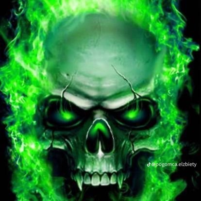 sparrow_but_man's profile picture. lasagna