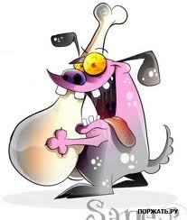 MrSinDima's profile picture. 