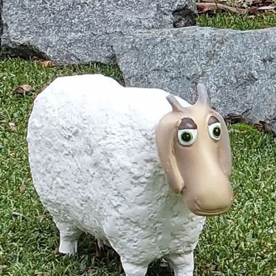 みみちゃんママ。ある闘病記にエールを送りたくなり始めました。白血病サバイバー。のほほんマイペースが好き。心の暖かくなるそんな人達と繋がりたい。