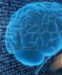 BUCompNeuro's profile picture. BU's Comp Neuro PhD combines core neuroscience coursework with advanced training in a wide array of computational methods. Like us at http://t.co/OXjNiQAk