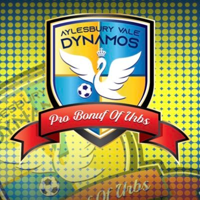 Official Twitter account for the Aylesbury Vale Dynamos. Charter Standard Club & Proud Members of the Spartan South Midland Lge #WeAreTheDynamos