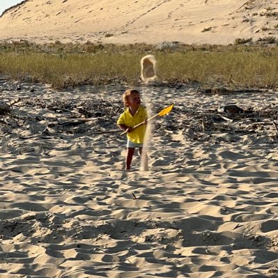 NejFicus's profile picture. 