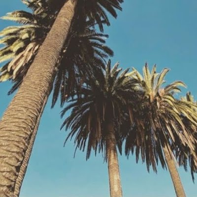 Vinnyferddyogo's profile picture. 