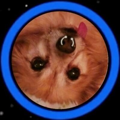 loafiepile's profile picture. shadowbanned from plato's allegory of the cave

alt for @loafpile