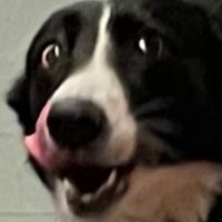 No. 1 Hater (@no2hater) 's Twitter Profile Photo