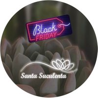 Santa Suculenta(@SantaSuculenta) 's Twitter Profile Photo