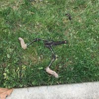 Rudby (@rudbyfactor) 's Twitter Profile