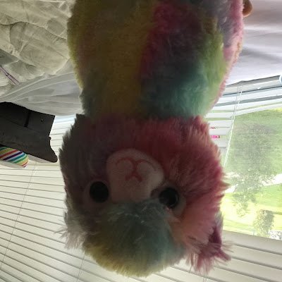 ArianaToliver's profile picture. 