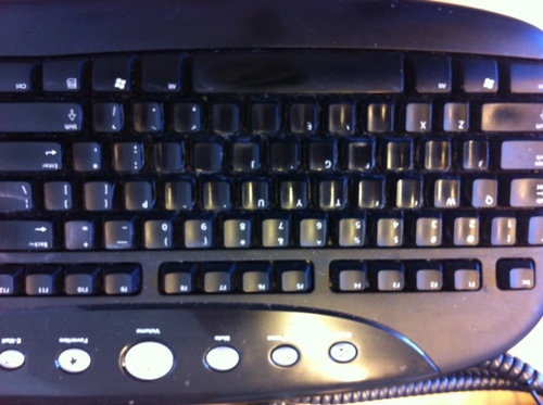 lizamurphy3's profile picture. 