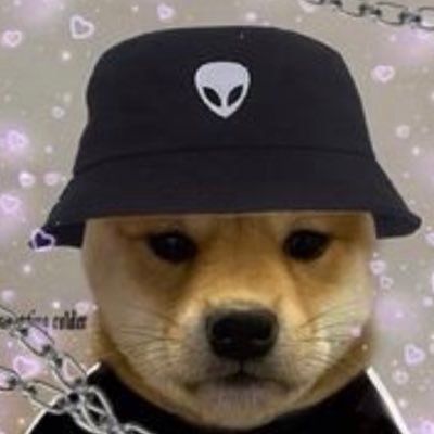 dogedems Profile Picture