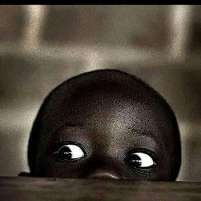 Ometeolt_01's profile picture. Ahora no