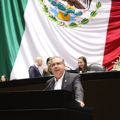 Actualmente Diputado Federal por Michoacán, Director de empresa familiar, gusto por la lectura, la historia y de la política mexicana, soy azul de corazón.