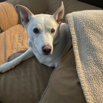 MaryAnneSchwan's profile picture. 