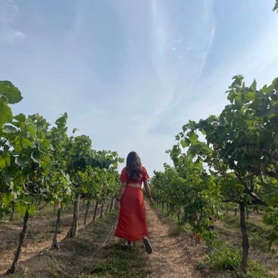 gupi93's profile picture. 