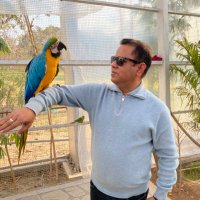 Debendra Dalai (@ddifs99) 's Twitter Profile