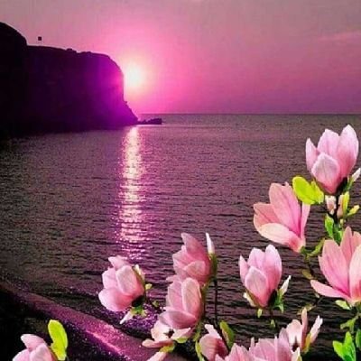 Teresa_ios's profile picture. A los que hicieron que mi padre muriera solo y atado, les deseo lo peor. Nos han causado demasiado dolor. Murió de cáncer