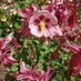 BSC (@bsc26446578) Twitter profile photo BSC (@bsc26446578) Twitter profile photo