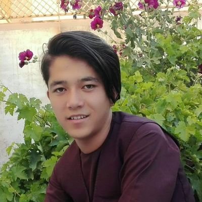 bgv_team's profile picture. 