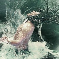 Brundle (@brundlepod) 's Twitter Profile Photo Brundle (@brundlepod) 's Twitter Profile Photo