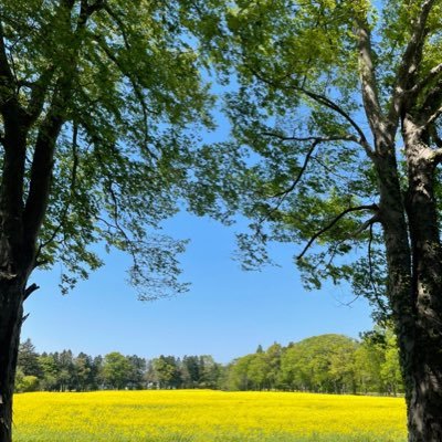 与論島の住民になりたいアラフィフシンママです🤭 ヴァンラーレ八戸に所属していた子ども達のお陰でサッカーは少しだけ覚えました⚽️バレーボール部キャプテン🏐 応援団のマネージャーでした🤭体育会？文化系？いやどっちよな私です😆