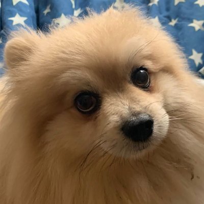 doctorchorizo.ethさんのプロフィール画像