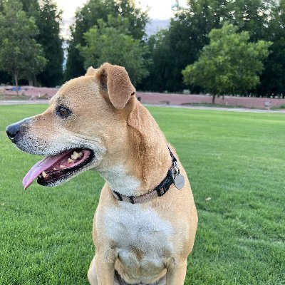 sgallem's profile picture. 