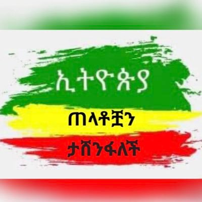 AddisAb84501717 Profile Picture